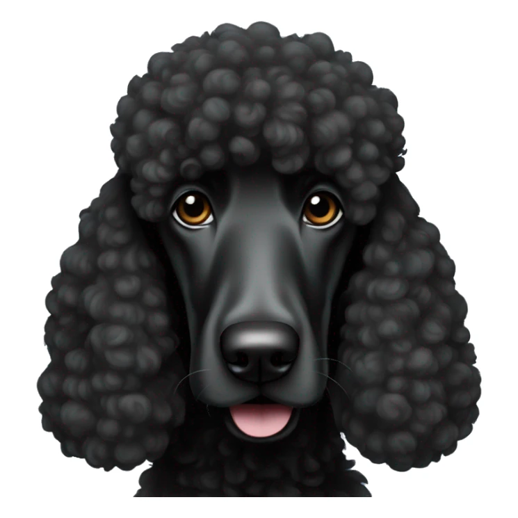 Black standard poodle sticker