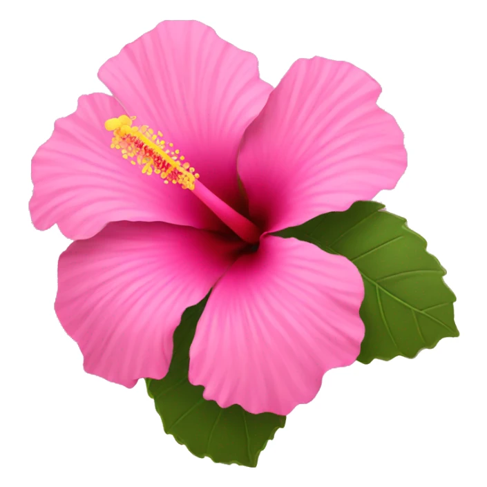 pink hibiscus flower  sticker