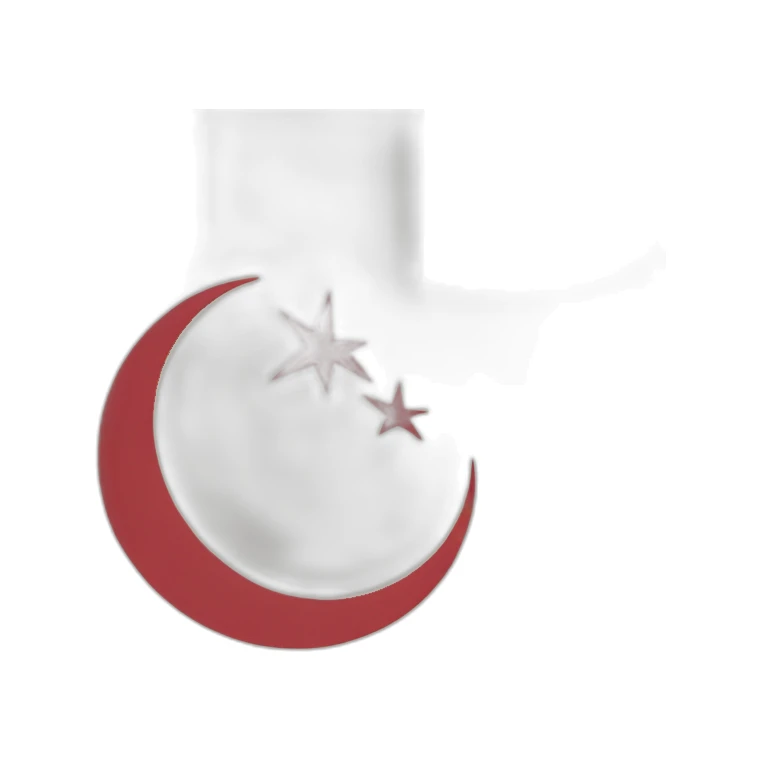 Muslim flag sticker