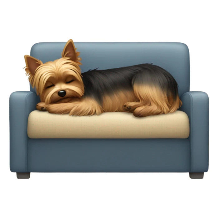 Yorkie sleeping on a couch sticker