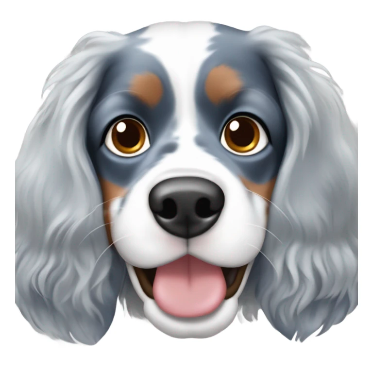 blue merle cavalier spaniel  sticker