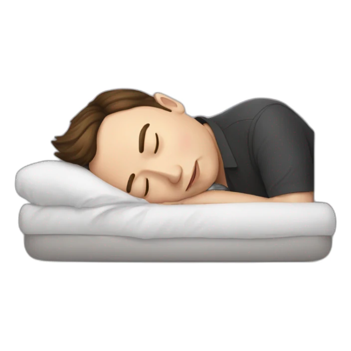 Elon Musk sleeping sticker