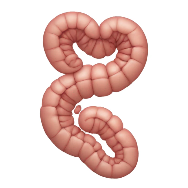 Stomach And intestine sticker