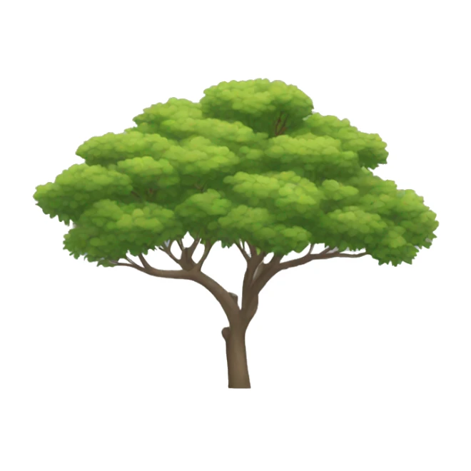 Acacia  sticker