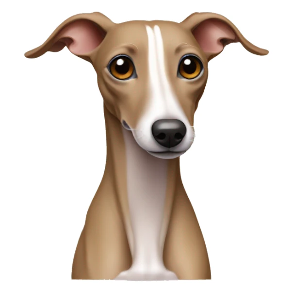Tan Italian greyhound sticker