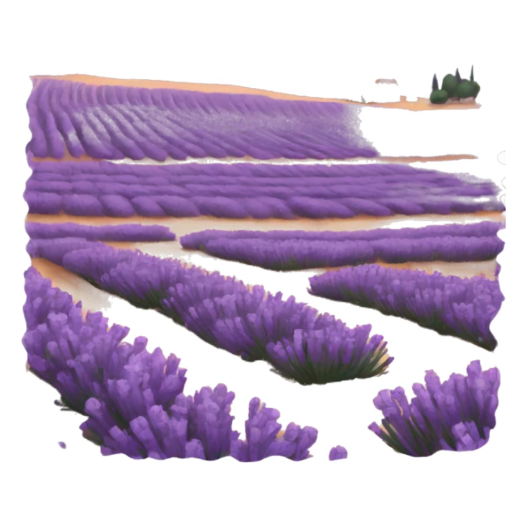 lavender field sticker