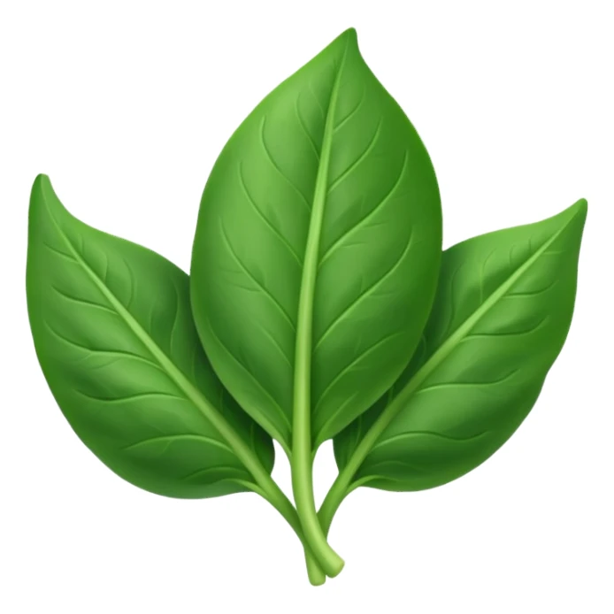 ıspanak sebzesi sticker