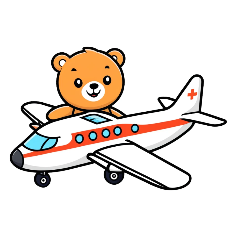 Airplane with bear sticker