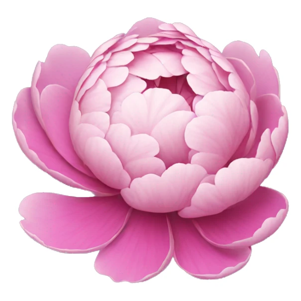 peonie sticker