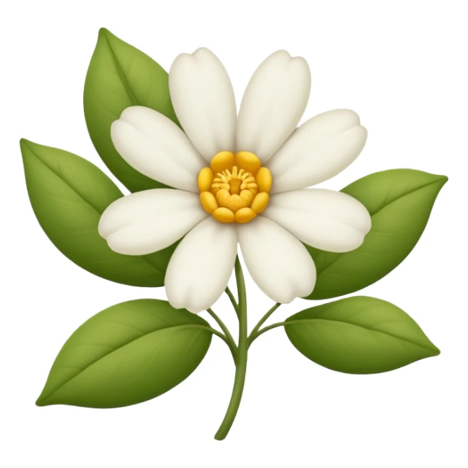 Flor branca sem caule  sticker