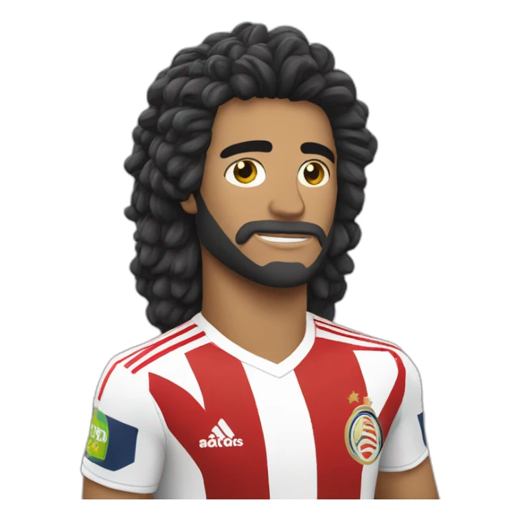 Copa libertadores sticker