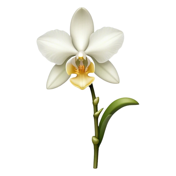 single white Dendrobium Orchid straight stem sticker