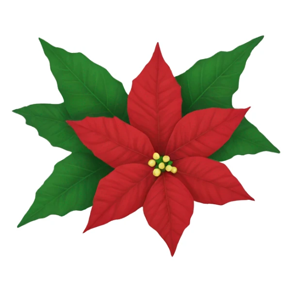 Poinsettia sticker