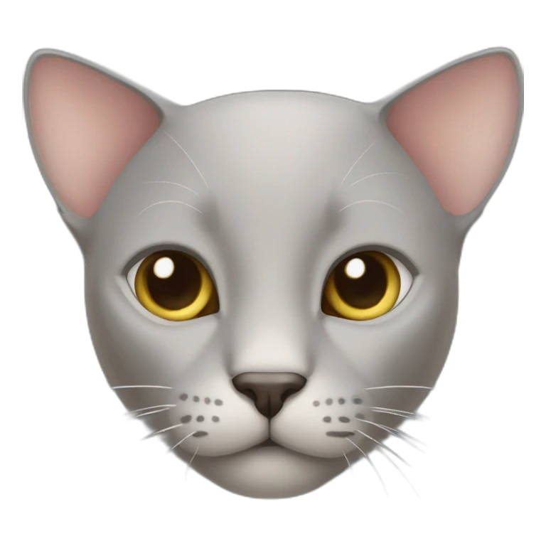 grey bald cat with big ears sticker