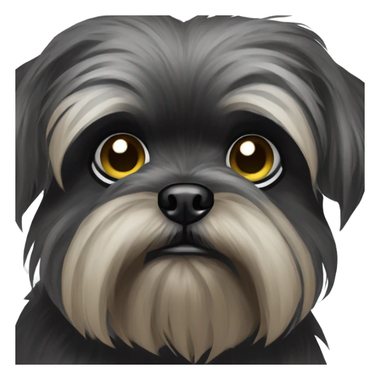 Sad affenpinscher   sticker