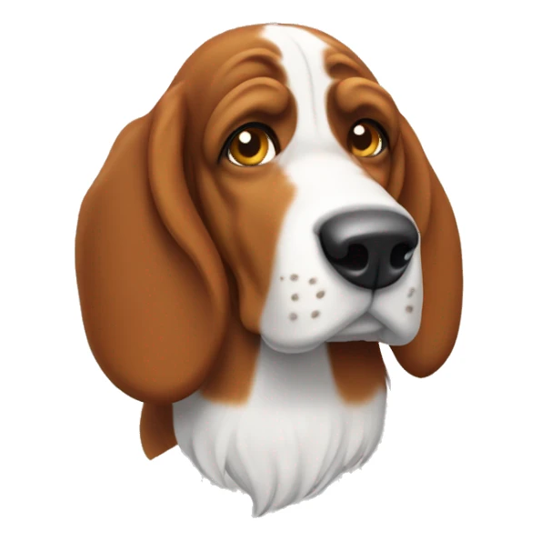 Bassett hound  sticker