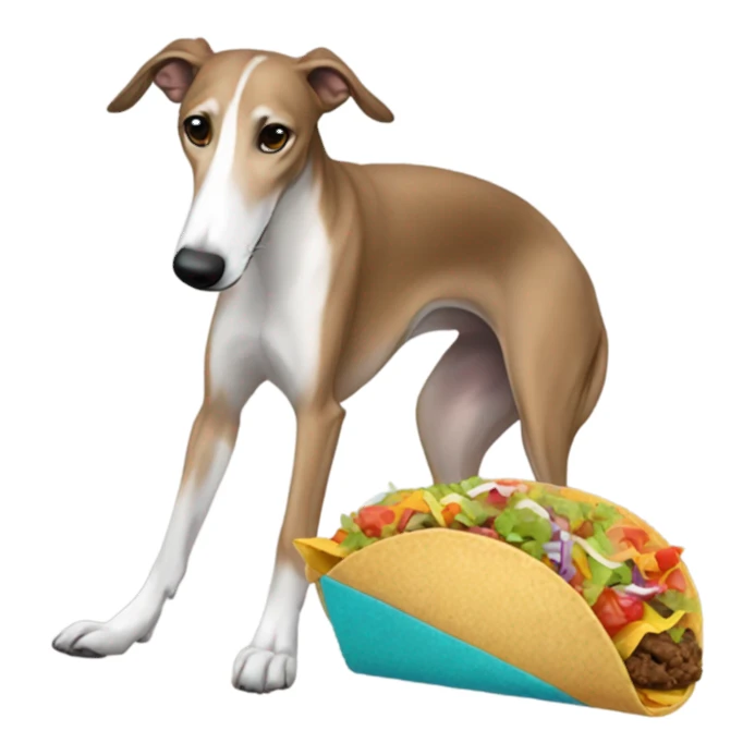 Greyhound with taco sticker