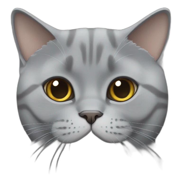 flat faced british shorthair gray cat sticker