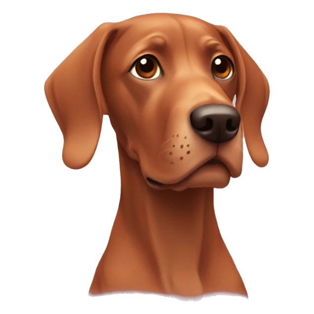 viszla wellness sticker