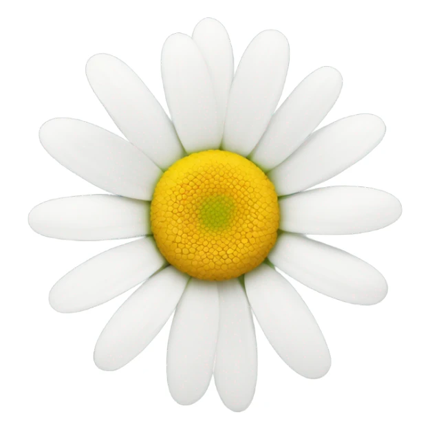 A white daisy with 1 missing petal  sticker