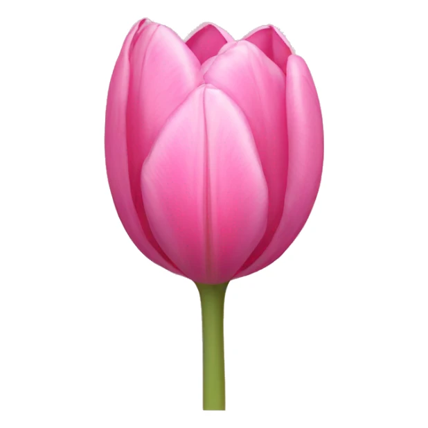 a pink tulip sticker