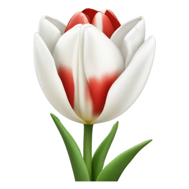 White and red tulips sticker