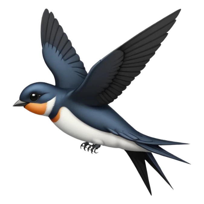 Swallow sticker