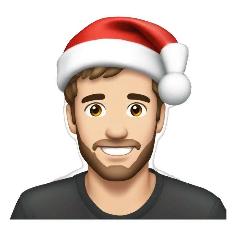 liam payne wearing christmas hat sticker
