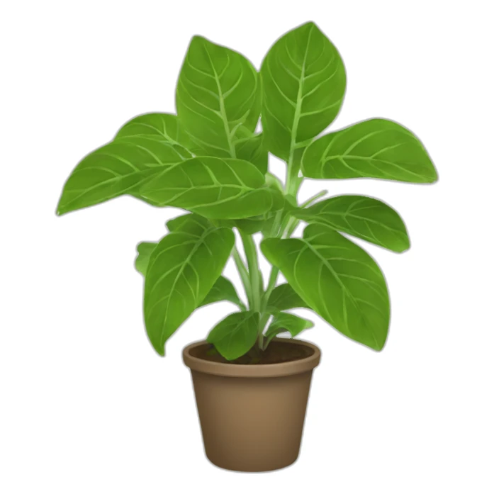 epipremnum aureum sticker