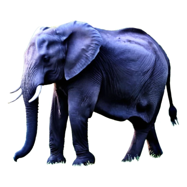 Голіаф біблія в броні sticker