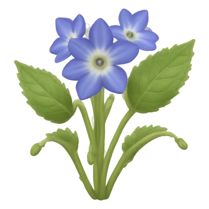borage sticker