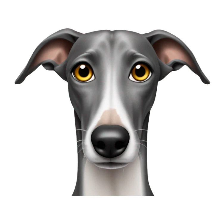 galgo mit zahnweh sticker