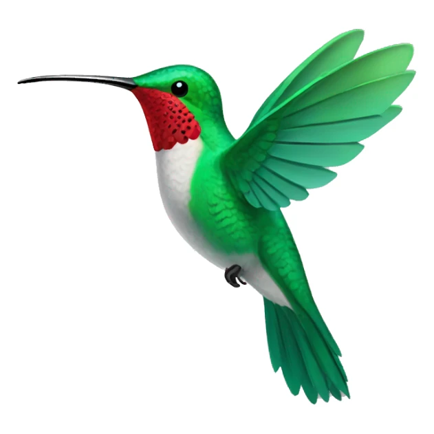 Humming bird sticker