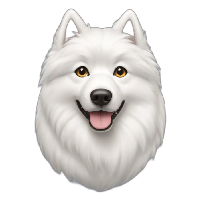 Samoyedo blanco sticker