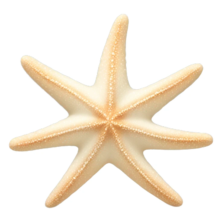 Beige and white starfish sticker