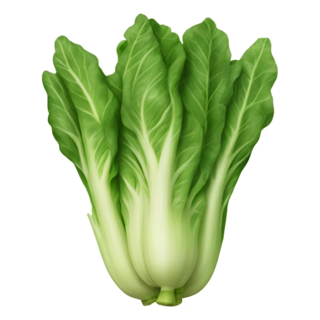 lechuga sticker
