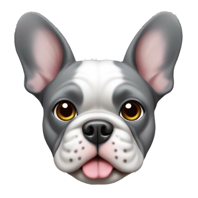 French Bulldogge grey sticker