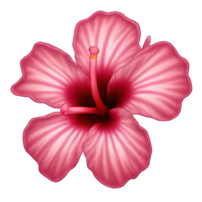 hibiskus flower sticker