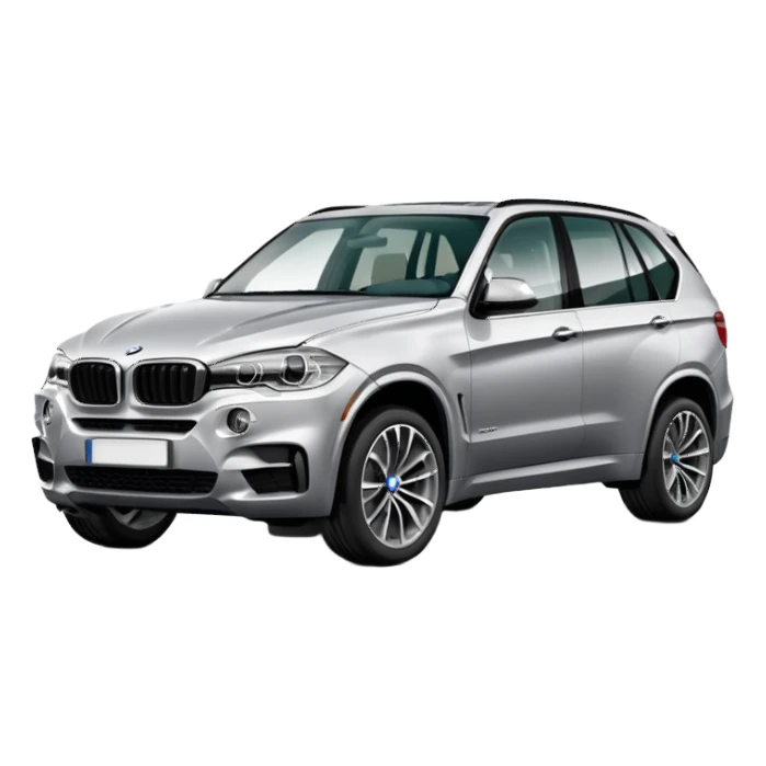 BMW X5 best view  sticker