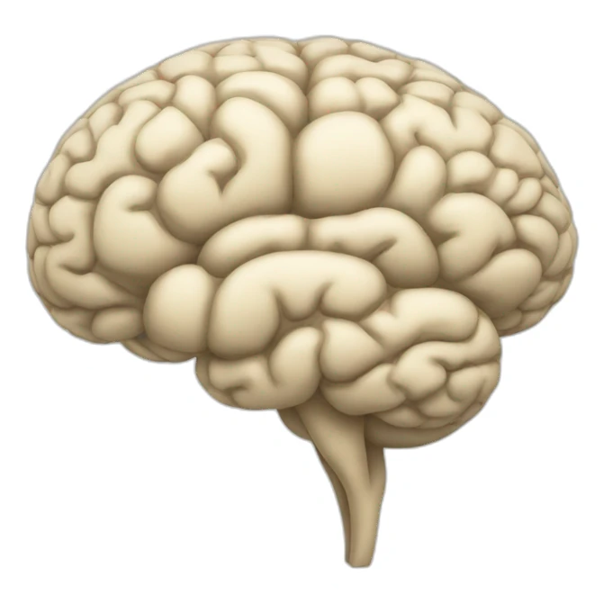 a brain in japan map sticker