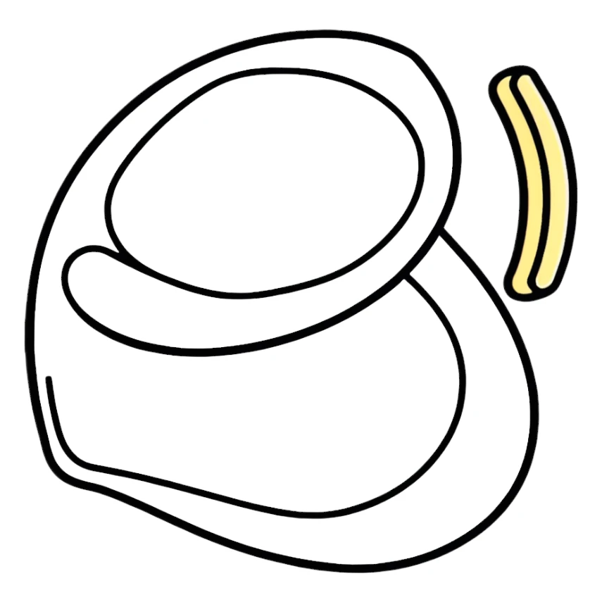 Wearable flexible electronic patch on skin sticker