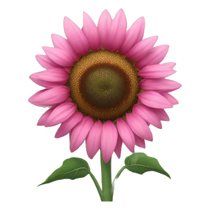Pink sunflower sticker