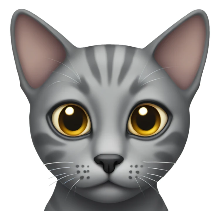 Gray cat with one eye sticker