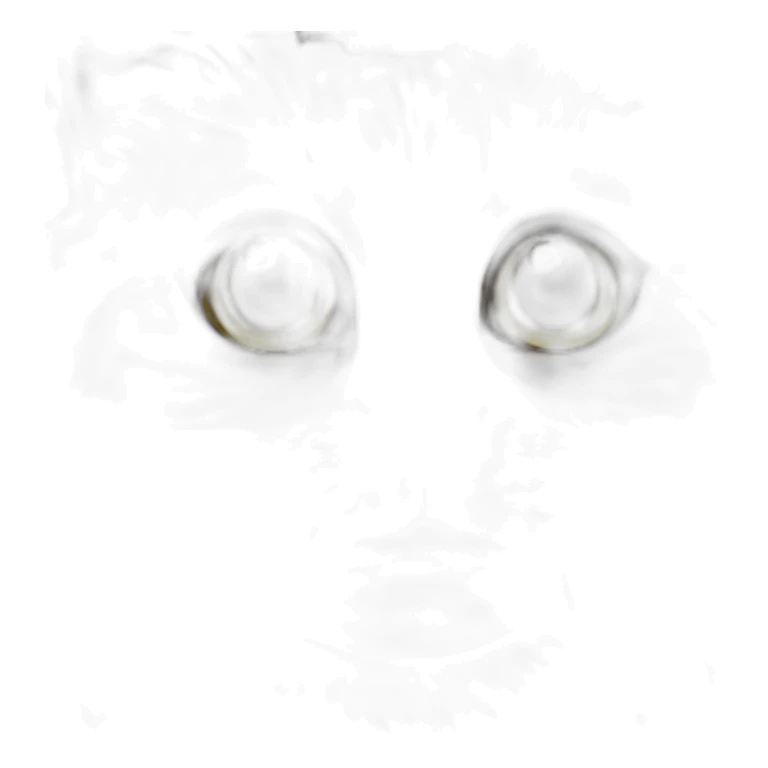 cat-witc-tarot sticker