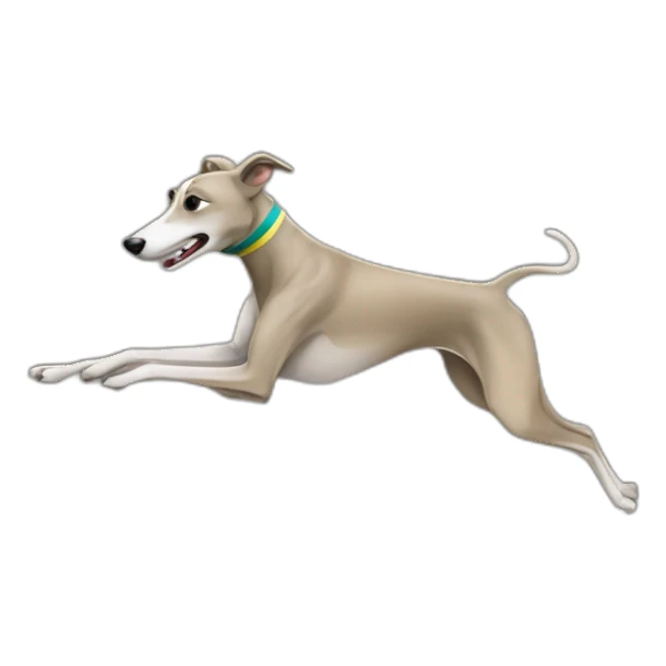 greyhound racing in australia sticker