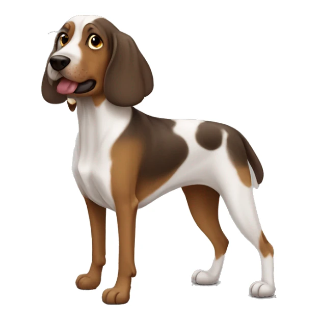 cane bassotto lungo sticker