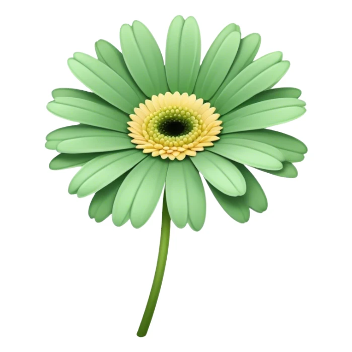 single Soft Green Gerbera Daisy, straight stem sticker