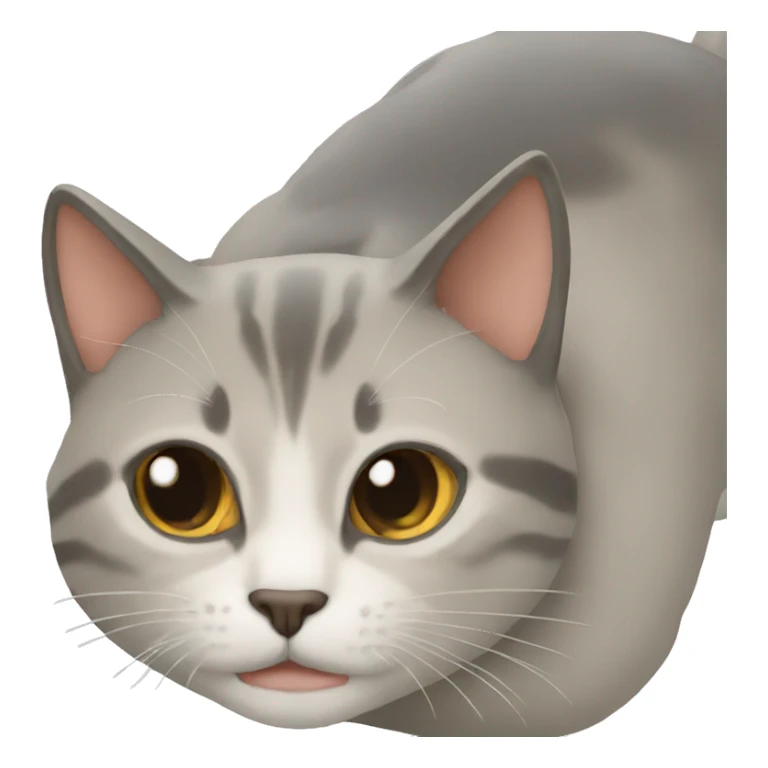 Gato mar sticker