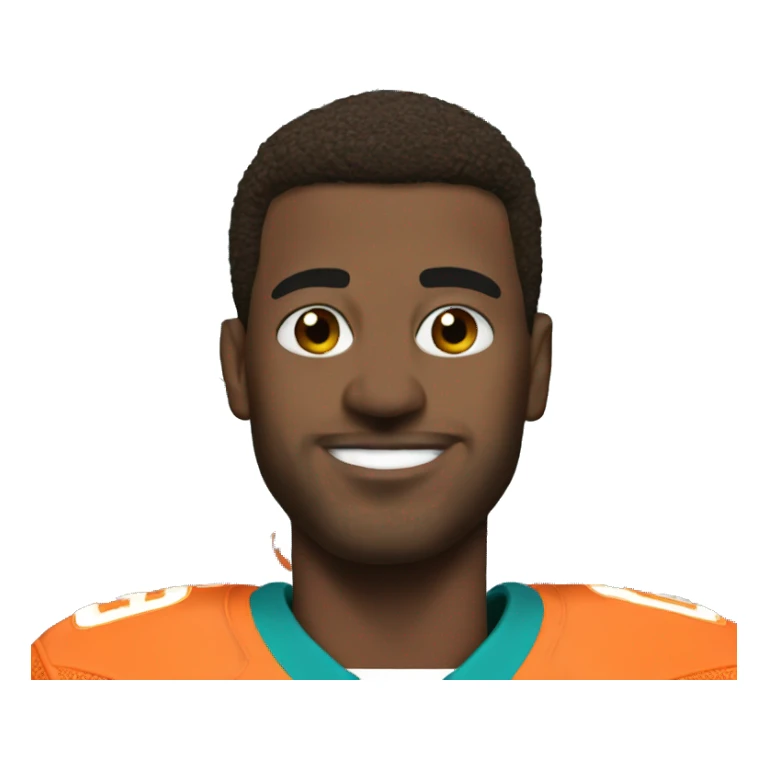 NFL Miami dolphins  sticker