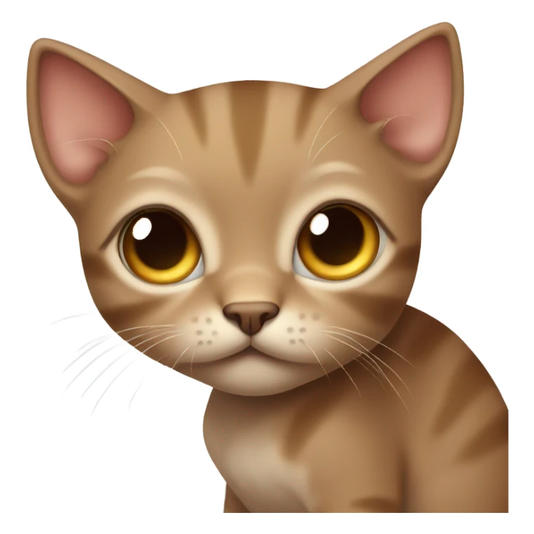 brown sad kitten sticker